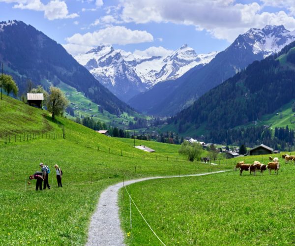 xavier-von-erlach-dRqtiQhH3Ww-unsplash